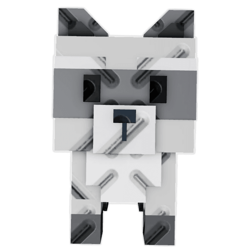 Raccoon